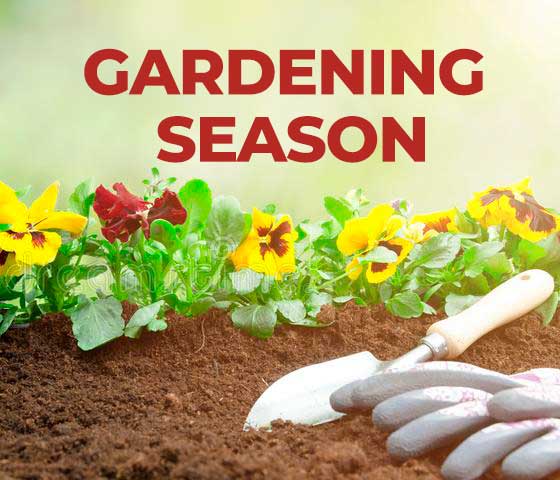 Injury Free Gardening Season