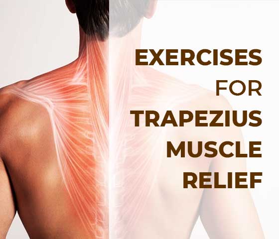 trapezius stretches