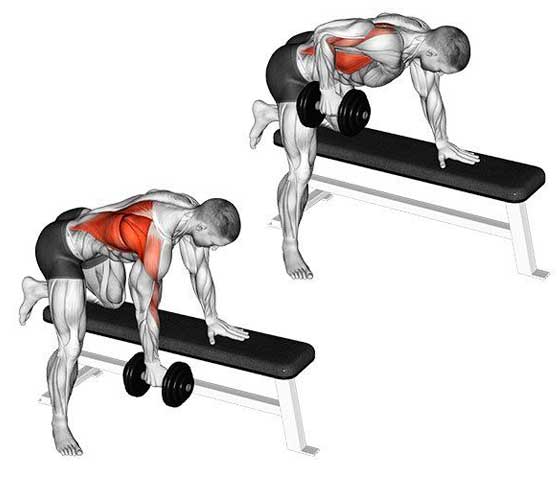 Exercises for Trapezius Muscle Relief Dumbbell rows