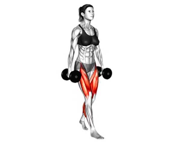 Exercises for Trapezius Muscle Relief Farmer’s walks