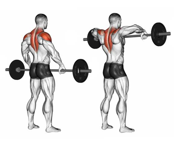 Exercises for Trapezius Muscle Relief Upright rows