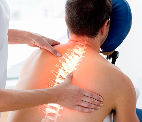 Car Accident Physiotherapy in Milton