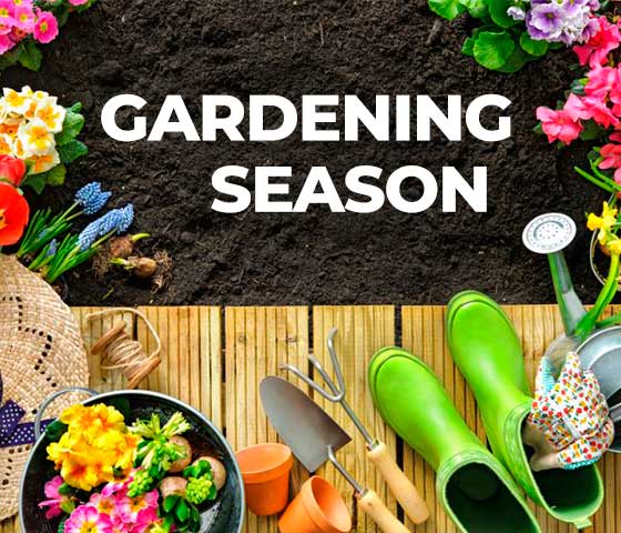 Gardening Season in Milton