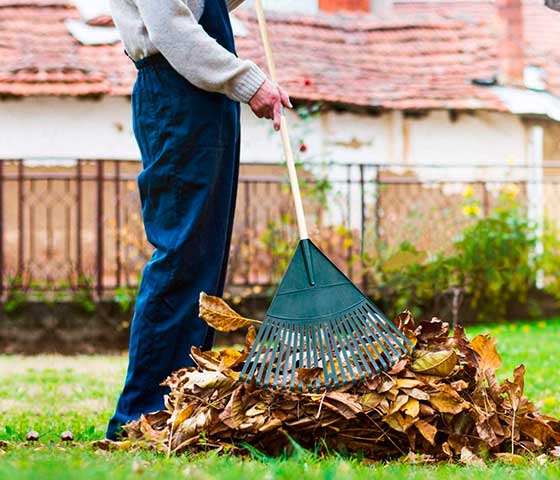 Gardening Season in Milton