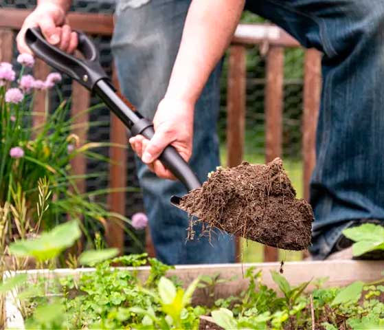 Gardening Digging