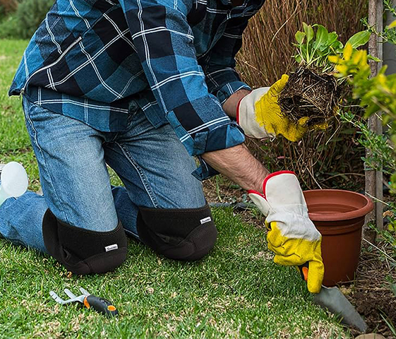 Gardening Season in Milton