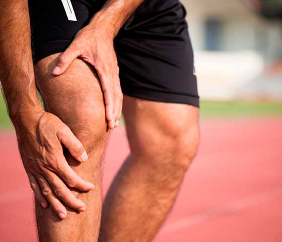 Jumper Knee Rehabilitation in Milton