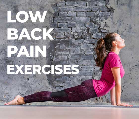 Low Back Pain Exercises