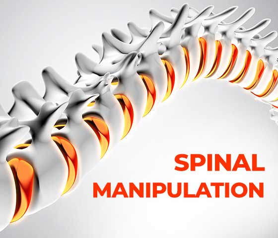 Spinal Manipulation Therapy in Milton